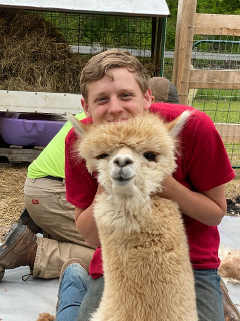 Shearing Day!