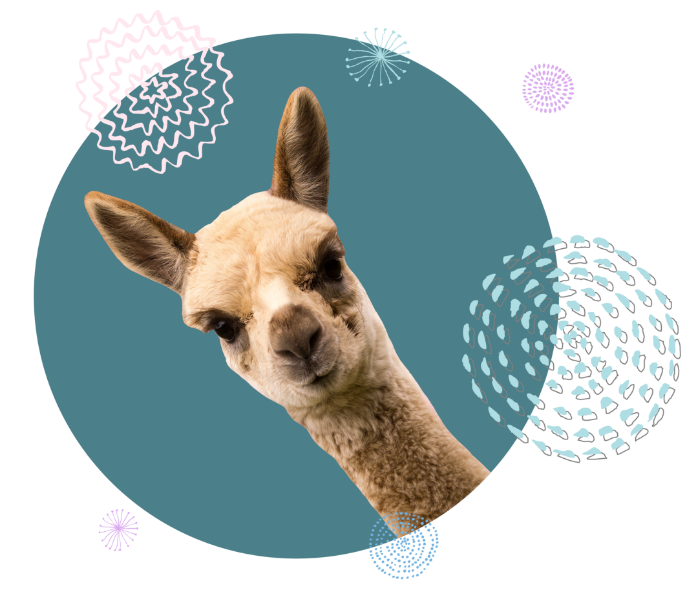 Alpaca-Circle-Image-01@2x